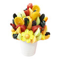 Fruity Vase (XL)